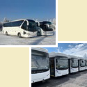 Truck%20and%20bus%20sales%20growth__html