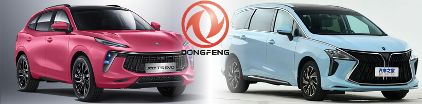 Forthing debuted in the Russian market - NAPI