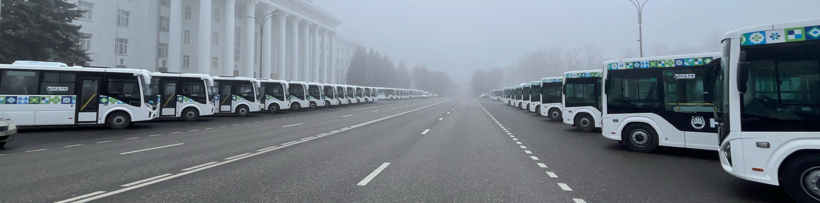 en.napinfo.ru