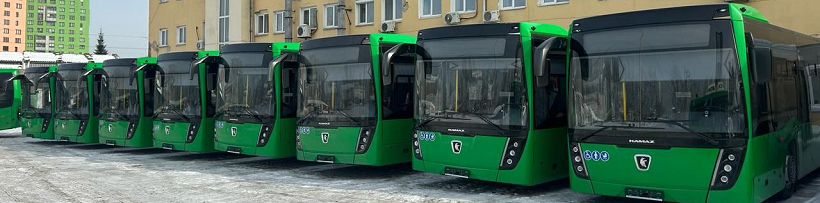en.napinfo.ru